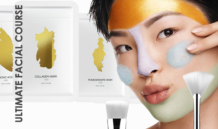 Premier Facial Course